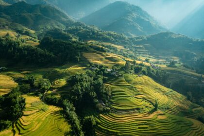 Panorama tarasów ryżowych w Sapa, północny Wietnam.