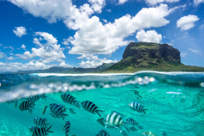 Mauritius Amazing 1