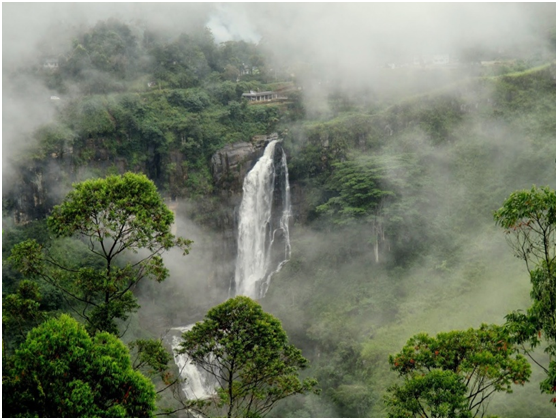 SRI LANKA 3 TYGODNIE - PLAN PODRÓŻY 3 image 37