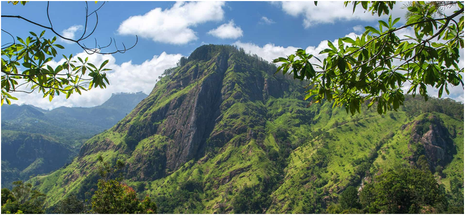 SRI LANKA 3 TYGODNIE - PLAN PODRÓŻY 7 image 41