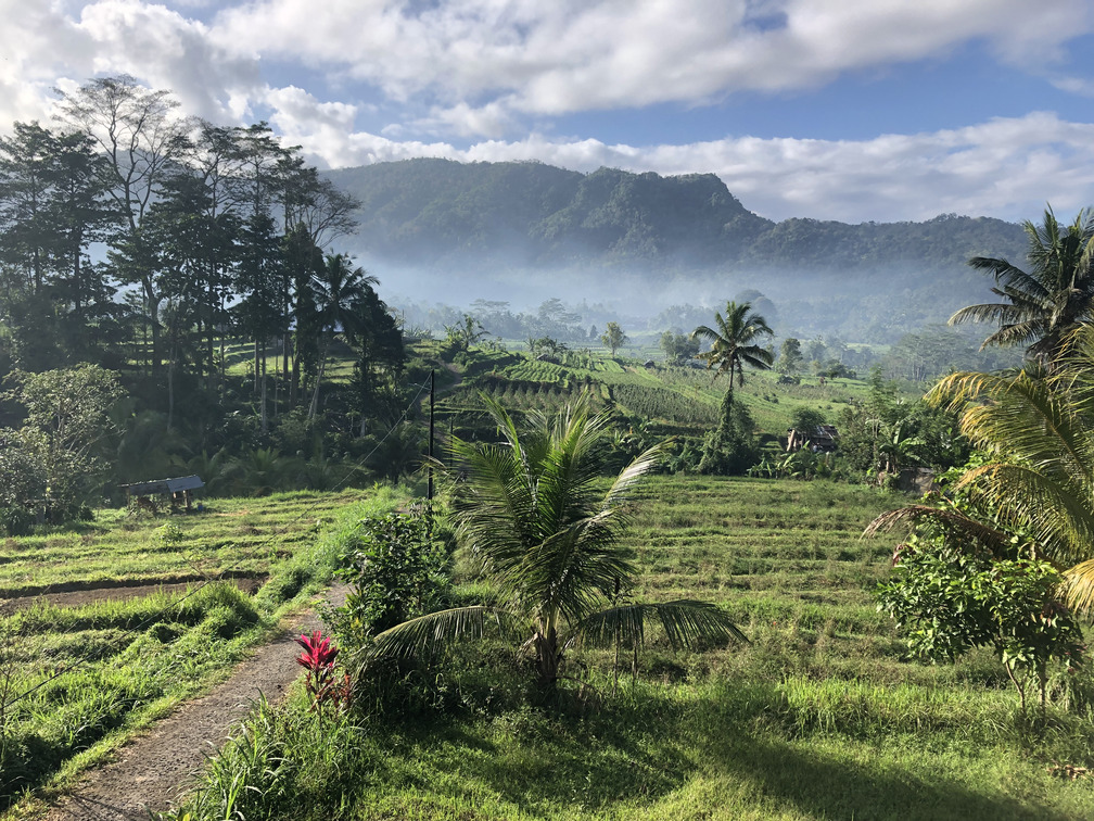 14 dni na Bqli - sidemen