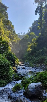 strumien wody w północnej części Bali otoczony bujna zielenią 