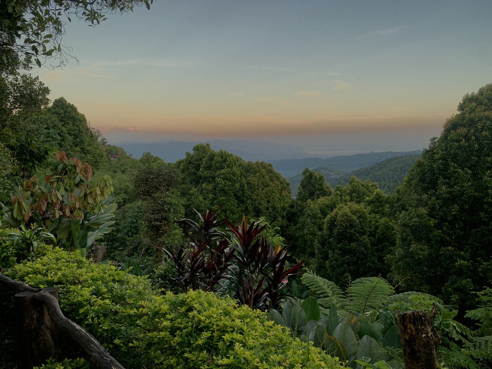 Munduk clove nocleg 14 dni na Bali