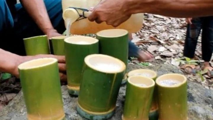 10 lokalnych alkoholi na Bali – co warto spróbować? 4 10 lokalnych alkoholi na Bali - Tuak palm wine Bali, balijskie wino lokalne