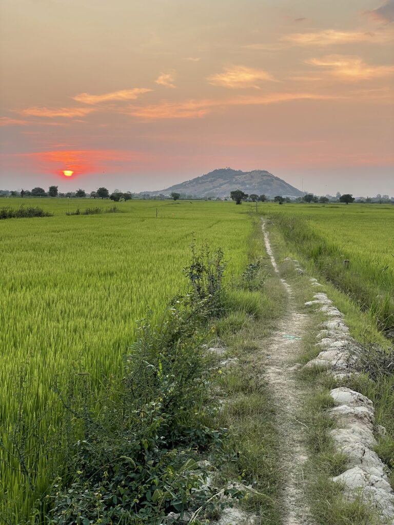 Droga na tle zachodzącego słońca 