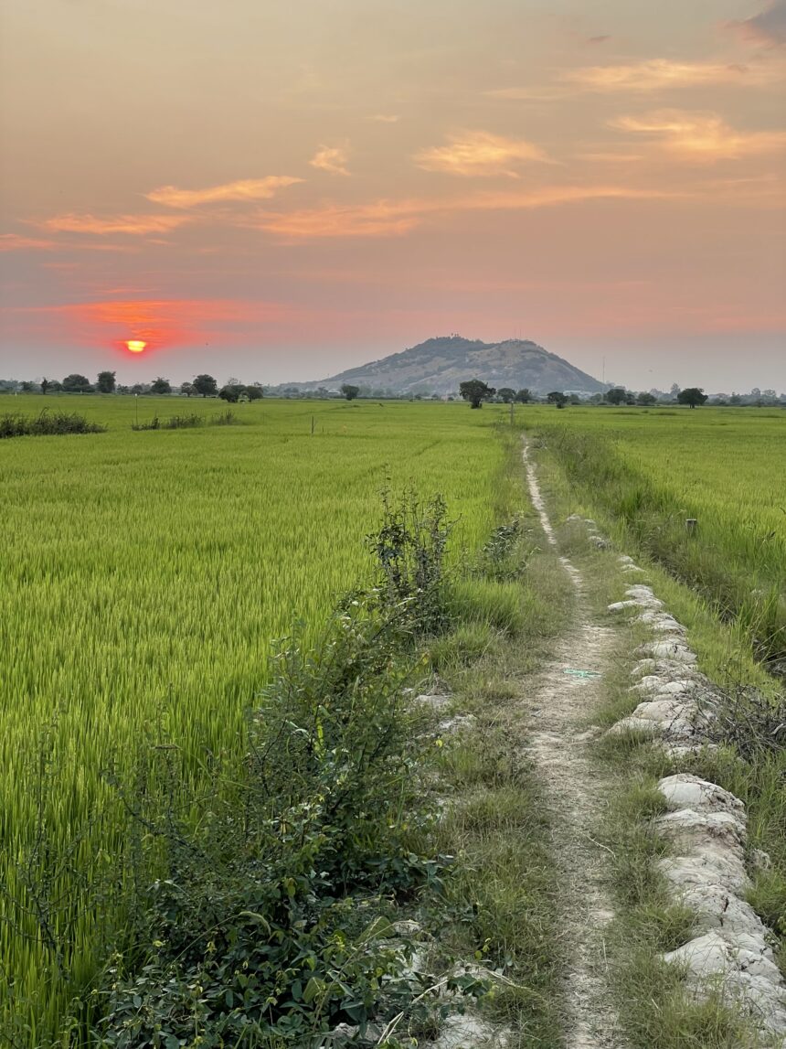 Tydzień 3 - dziennik podróży. Droga na tle zachodzącego słońca
