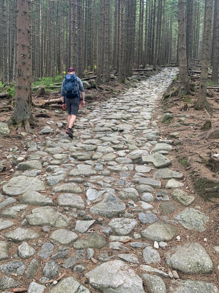 CZASAMI PODRÓŻ TO MOMENT POMIĘDZY 3 Osoba idąca kamienną drogą w lesie jako symbol podróży i zmiany