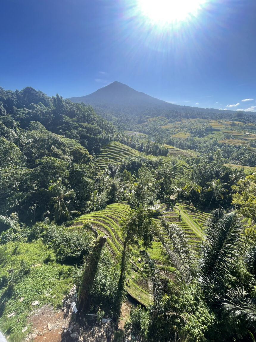 Tydzień 17 Munduk Bali
