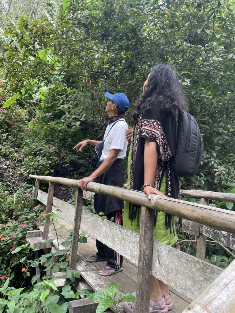 DO YOUR SADNESS HAVE ITS FAVORITE REASONS? 1 Walking through the jungle, talking and thinking.