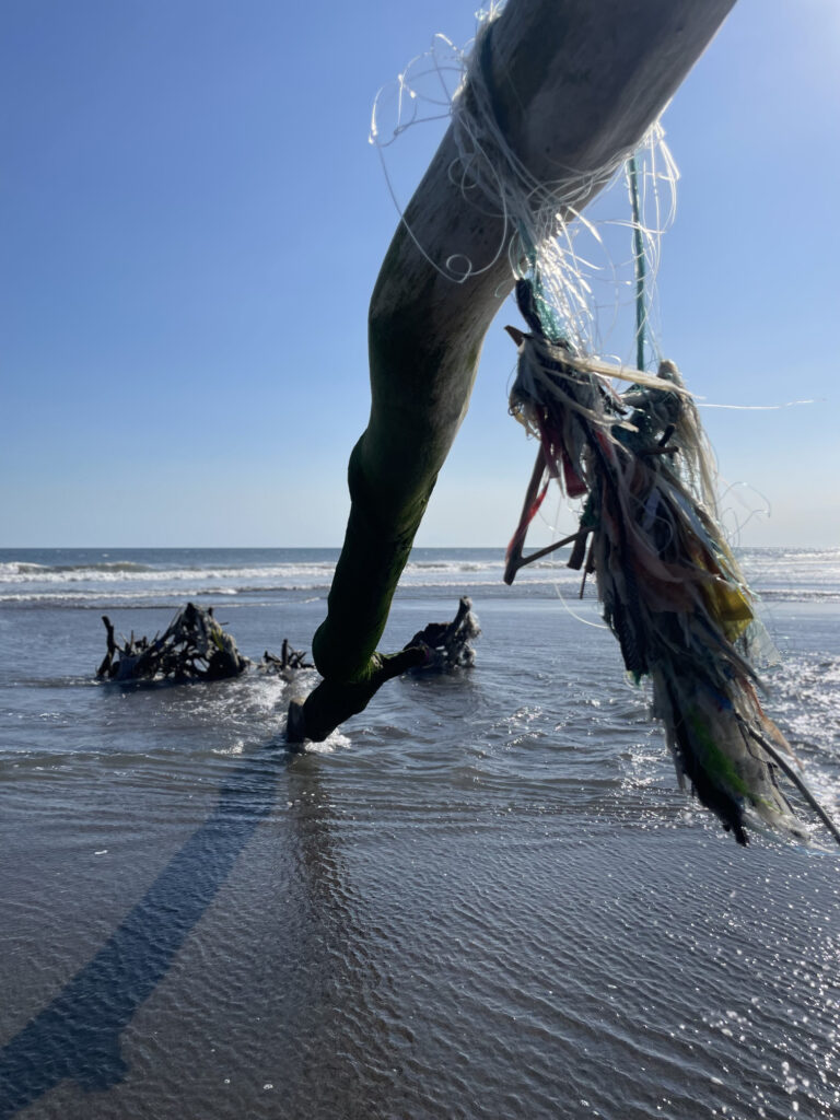 TYDZIEŃ 23 PODRÓŻY 4 Gałąź drzewa z kolorowymi sznurkami nad oceanem na Bali symbolizująca podróż i wspomnienia.