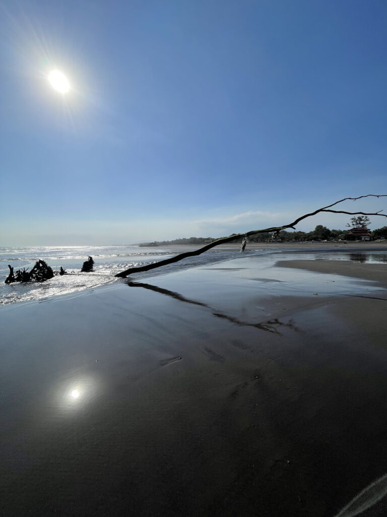 TYDZIEŃ 23 PODRÓŻY 1 Plaża na Bali z gałęzią drzewa nad oceanem podczas słonecznego dnia.