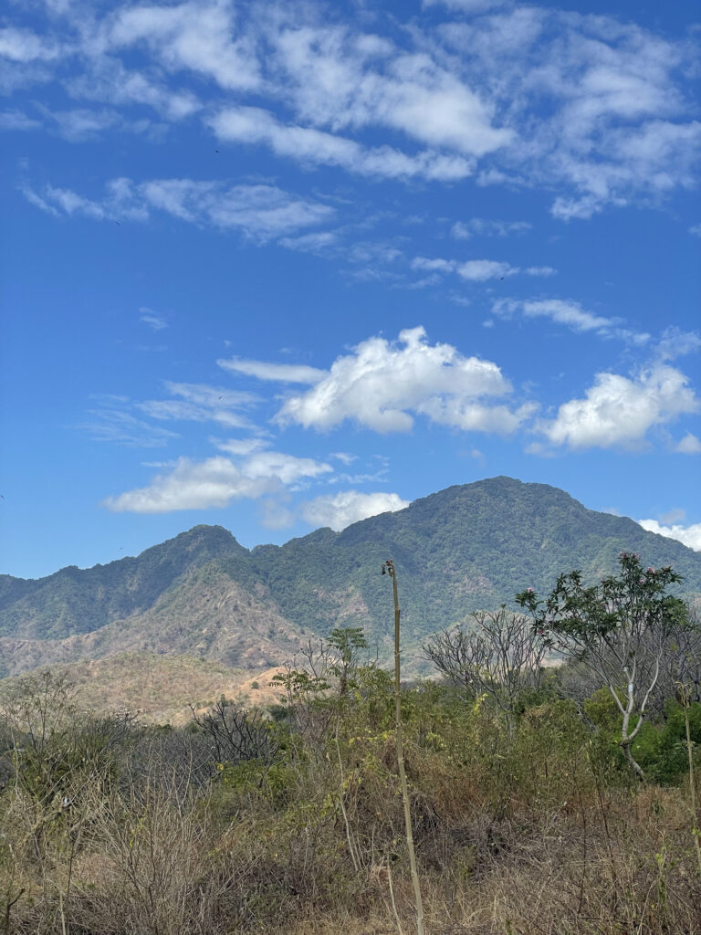 TYDZIEŃ 25 PODRÓŻY 3 Sumberkima Hill Retreat na północy Bali.