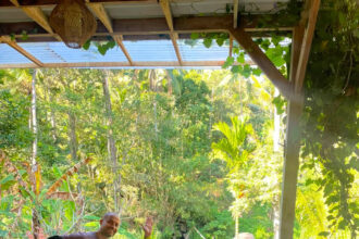 Powrót do Desa Kedis Durenne Retreat podczas 28. tygodnia podróży po Bali.
