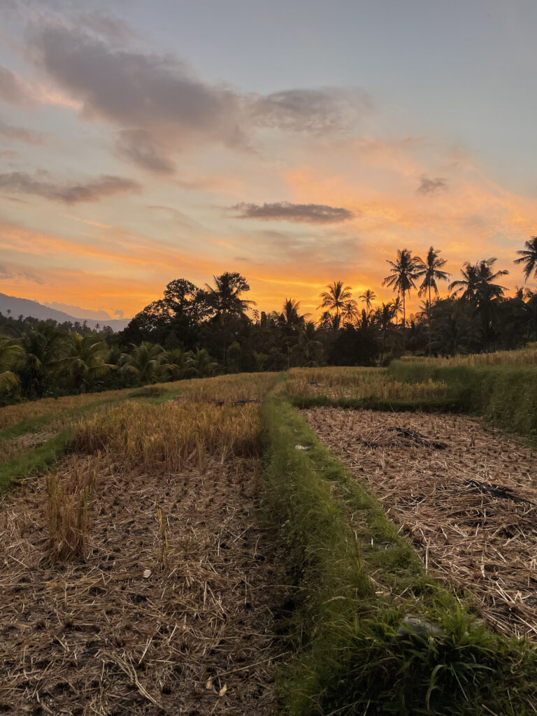 WHERE DO YOU FEEL MOST LIKE YOURSELF? 1 A person finding peace in the mountains of Bali.