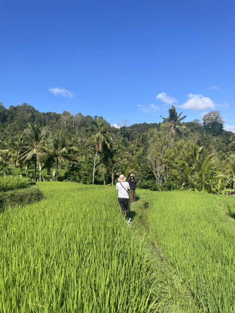 TYDZIEŃ 26 PODRÓŻY 4 Spacer przez pola ryżowe na północy Bali.