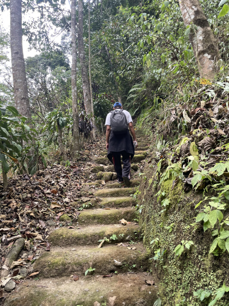 WHO ARE YOU ACTUALLY TRYING TO PROVE YOURSELF TO? 2 A lone person walking along a path symbolising the pursuit of life goals.